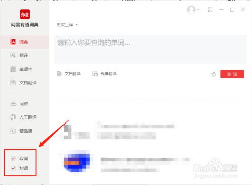 有道屏幕翻译怎么设置？