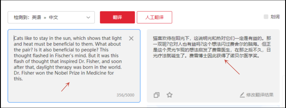 有道词典离线翻译终极指南：无网环境下的翻译救星