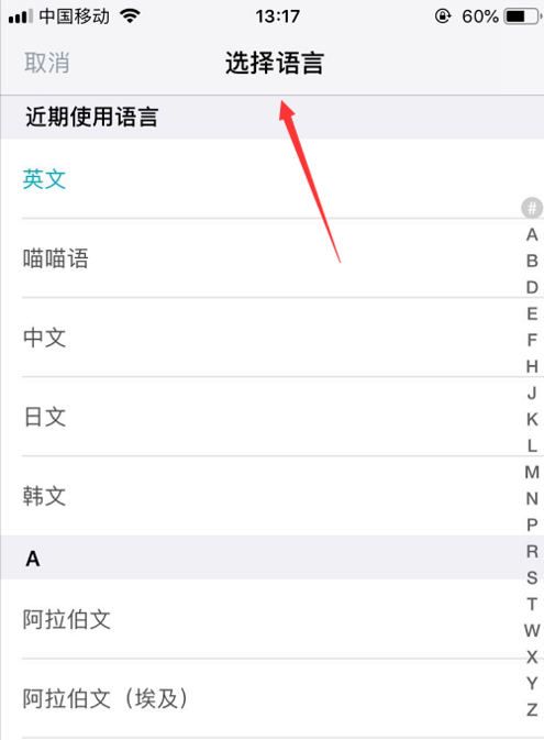 有道怎么显示翻译及读音？
