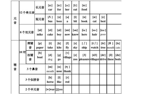 Estelle怎么读？有道翻译教你标准发音与技巧
